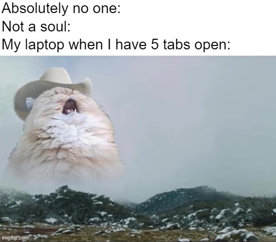 Open Tabs Screaming Cowboy Cat | Absolutely no one:; Not a soul:; My laptop when I have 5 tabs open: | image tagged in screaming cowboy cat,technology,laptop,computer | made w/ Imgflip meme maker