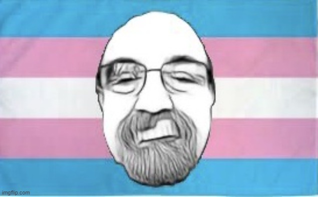 Trans pride flag guy | image tagged in trans pride flag guy | made w/ Imgflip meme maker