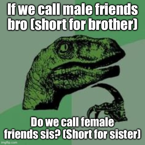 Hm… | If we call male friends bro (short for brother); Do we call female friends sis? (Short for sister) | image tagged in time raptor,bro,sis,girls,boys | made w/ Imgflip meme maker