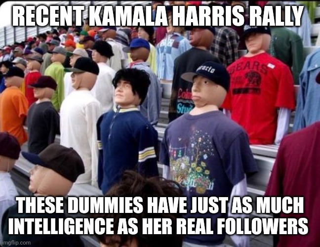 kamala harris meme | RECENT KAMALA HARRIS RALLY; THESE DUMMIES HAVE JUST AS MUCH INTELLIGENCE AS HER REAL FOLLOWERS | image tagged in democrats | made w/ Imgflip meme maker