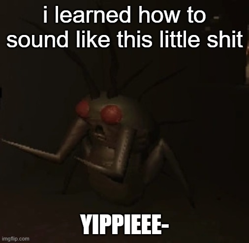 hoarding bug | i learned how to sound like this little shit; YIPPIEEE- | image tagged in hoarding bug | made w/ Imgflip meme maker