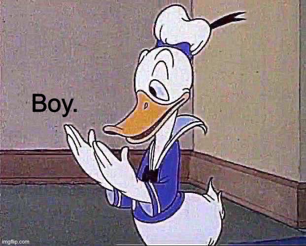 Boy. Donald Duck | image tagged in boy donald duck | made w/ Imgflip meme maker