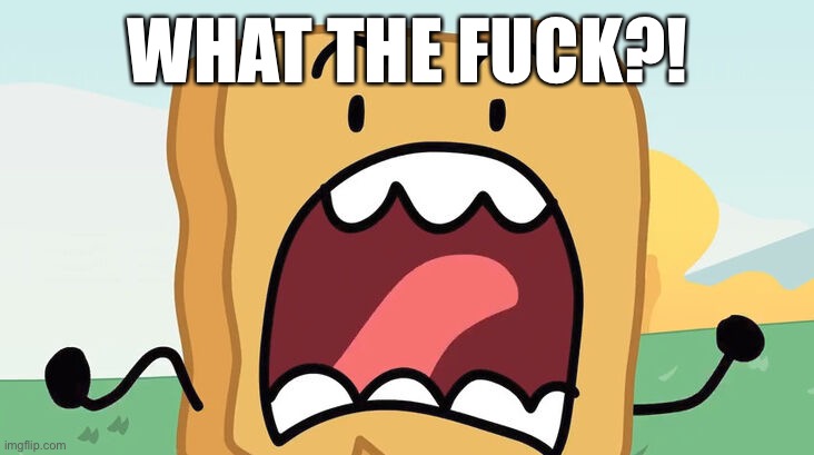 bfdi woody scream | WHAT THE FUCK?! | image tagged in bfdi woody scream | made w/ Imgflip meme maker