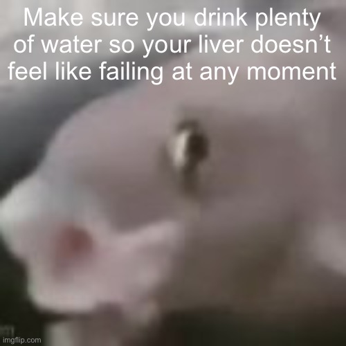 fih | Make sure you drink plenty of water so your liver doesn’t feel like failing at any moment | image tagged in fih | made w/ Imgflip meme maker