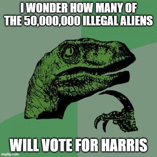 Philosoraptor | I WONDER HOW MANY OF THE 50,000,000 ILLEGAL ALIENS; WILL VOTE FOR HARRIS | image tagged in memes,philosoraptor | made w/ Imgflip meme maker