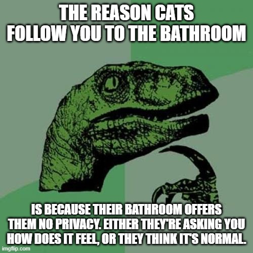 It all makes sense now! | THE REASON CATS FOLLOW YOU TO THE BATHROOM; IS BECAUSE THEIR BATHROOM OFFERS THEM NO PRIVACY. EITHER THEY'RE ASKING YOU HOW DOES IT FEEL, OR THEY THINK IT'S NORMAL. | image tagged in memes,philosoraptor | made w/ Imgflip meme maker