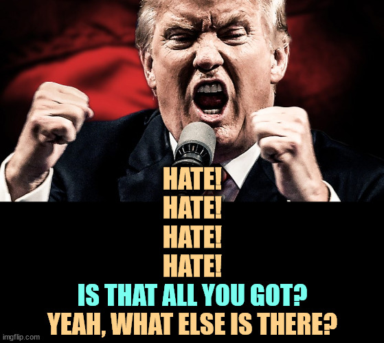 Little Johnny One-Note | HATE!
HATE!
HATE!
HATE! IS THAT ALL YOU GOT? YEAH, WHAT ELSE IS THERE? | image tagged in trump angry at the microphone,trump,hate,immigrants,illegal immigrants | made w/ Imgflip meme maker