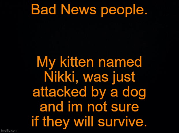 ... | My kitten named Nikki, was just attacked by a dog and im not sure if they will survive. Bad News people. | image tagged in black background | made w/ Imgflip meme maker