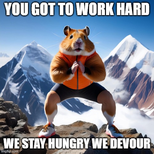 POWER | YOU GOT TO WORK HARD; WE STAY HUNGRY WE DEVOUR | image tagged in hampster | made w/ Imgflip meme maker