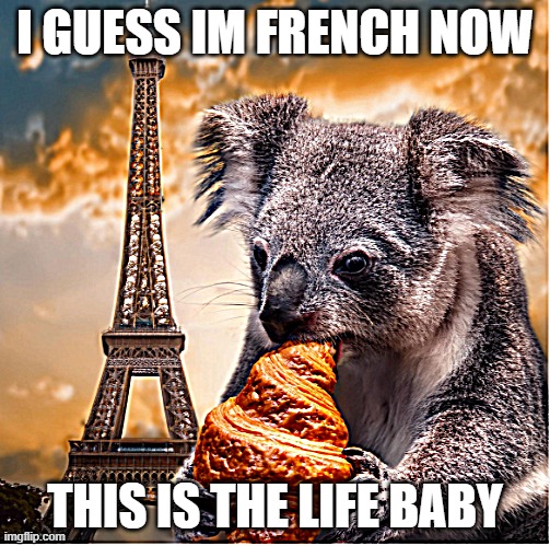 I guess im french now | I GUESS IM FRENCH NOW; THIS IS THE LIFE BABY | image tagged in koala | made w/ Imgflip meme maker