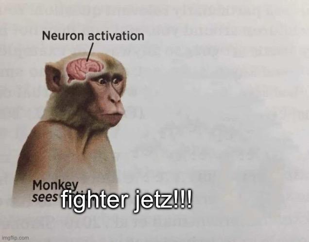 Monkey neuron activation | fighter jetz!!! | image tagged in monkey neuron activation | made w/ Imgflip meme maker