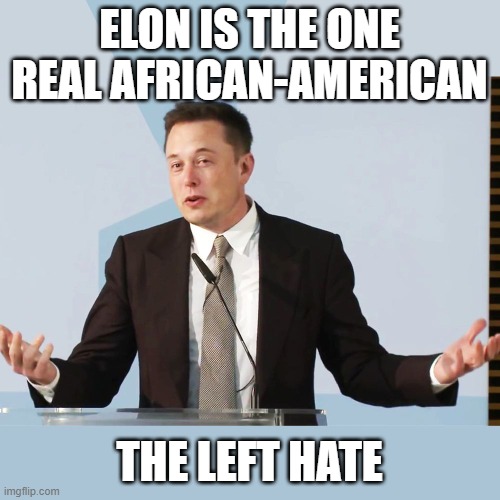 Elon Musk | ELON IS THE ONE REAL AFRICAN-AMERICAN THE LEFT HATE | image tagged in elon musk | made w/ Imgflip meme maker