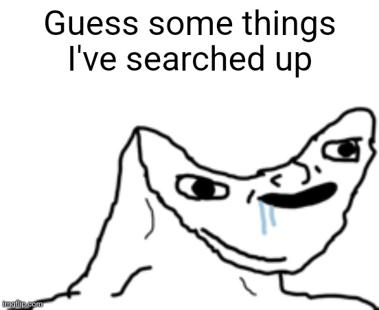 Guess my search history | Guess some things I've searched up | image tagged in dumb wojak | made w/ Imgflip meme maker