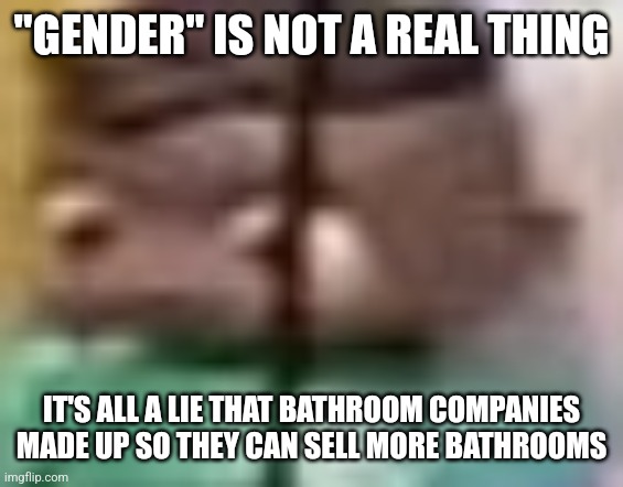 . | "GENDER" IS NOT A REAL THING; IT'S ALL A LIE THAT BATHROOM COMPANIES MADE UP SO THEY CAN SELL MORE BATHROOMS | image tagged in d | made w/ Imgflip meme maker