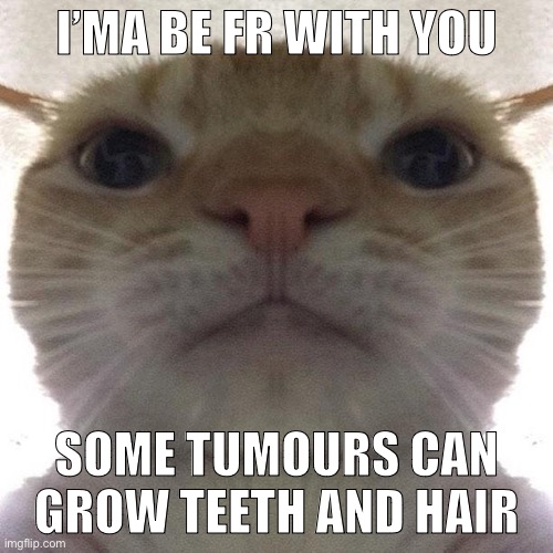 Tumors | I’MA BE FR WITH YOU; SOME TUMOURS CAN GROW TEETH AND HAIR | image tagged in staring cat/gusic | made w/ Imgflip meme maker