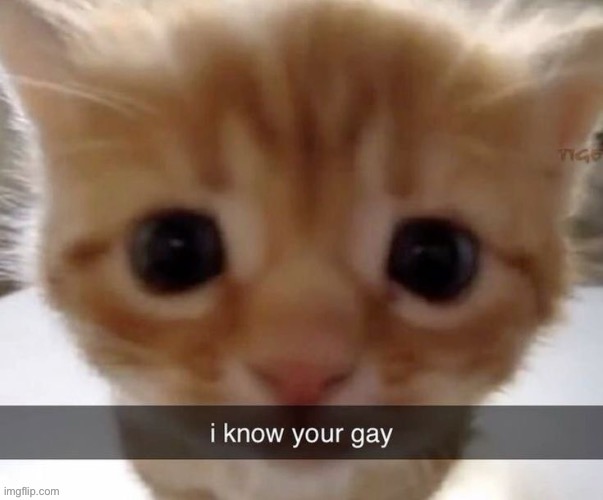 Come out come out wherever you are | made w/ Imgflip meme maker