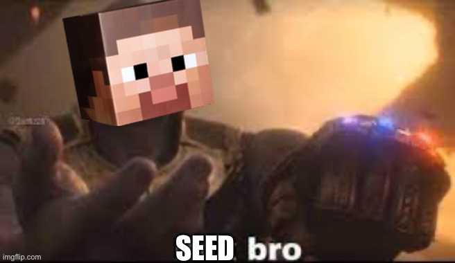 link bro | SEED | image tagged in link bro | made w/ Imgflip meme maker