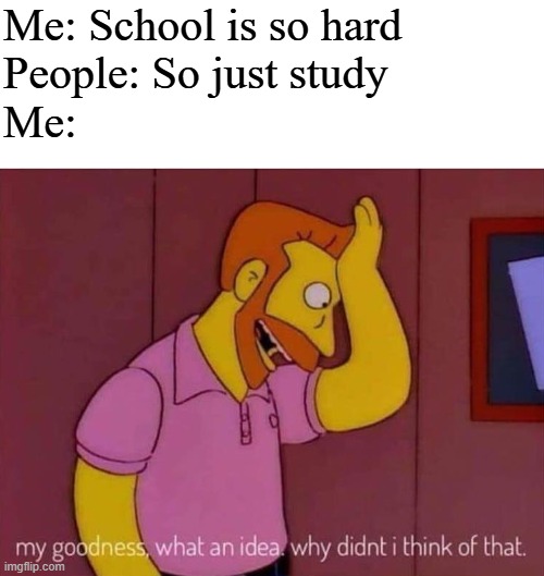 The answer isn't just studying fools | Me: School is so hard
People: So just study
Me: | image tagged in my goodness what an idea why didn't i think of that,funny,meme,memes,funny memes,relatable | made w/ Imgflip meme maker