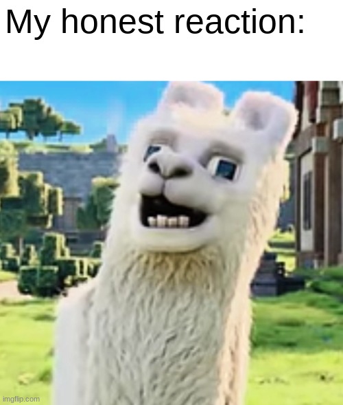 Minecraft movie llama | My honest reaction: | image tagged in minecraft movie llama | made w/ Imgflip meme maker