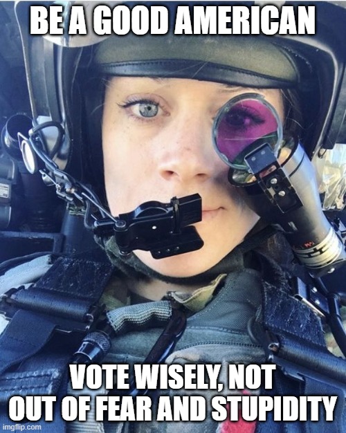 Be a good American - Vote for Freedom | BE A GOOD AMERICAN VOTE WISELY, NOT OUT OF FEAR AND STUPIDITY | image tagged in apache woman - sexy aviation helicopter,usa,american values,liberty,constitution,united states of america | made w/ Imgflip meme maker