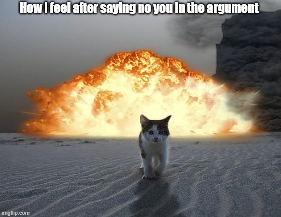 cat explosion | How I feel after saying no you in the argument | image tagged in cat explosion,cats,memes,yes | made w/ Imgflip meme maker