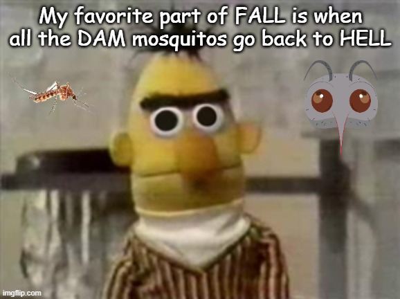 mosquitos | My favorite part of FALL is when all the DAM mosquitos go back to HELL | image tagged in bert muppet what did i just see,bugs,mosquito,hell yeah,nature | made w/ Imgflip meme maker