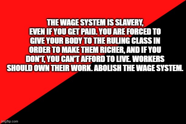 why the wage system is wrong | THE WAGE SYSTEM IS SLAVERY, EVEN IF YOU GET PAID. YOU ARE FORCED TO GIVE YOUR BODY TO THE RULING CLASS IN ORDER TO MAKE THEM RICHER, AND IF YOU DON'T, YOU CAN'T AFFORD TO LIVE. WORKERS SHOULD OWN THEIR WORK. ABOLISH THE WAGE SYSTEM. | image tagged in ancom flag,capitalism | made w/ Imgflip meme maker