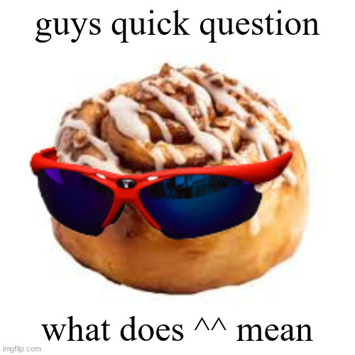 cool ass cinnamon bun | guys quick question; what does ^^ mean | image tagged in cool ass cinnamon bun | made w/ Imgflip meme maker