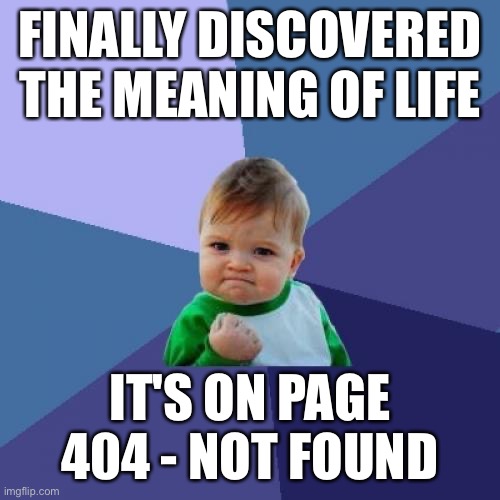 Success Kid Meme | FINALLY DISCOVERED THE MEANING OF LIFE; IT'S ON PAGE 404 - NOT FOUND | image tagged in memes,success kid | made w/ Imgflip meme maker