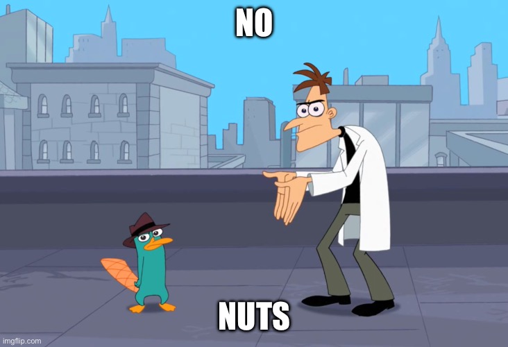 Dr. Doofenshmirtz Boi | NO NUTS | image tagged in dr doofenshmirtz boi | made w/ Imgflip meme maker