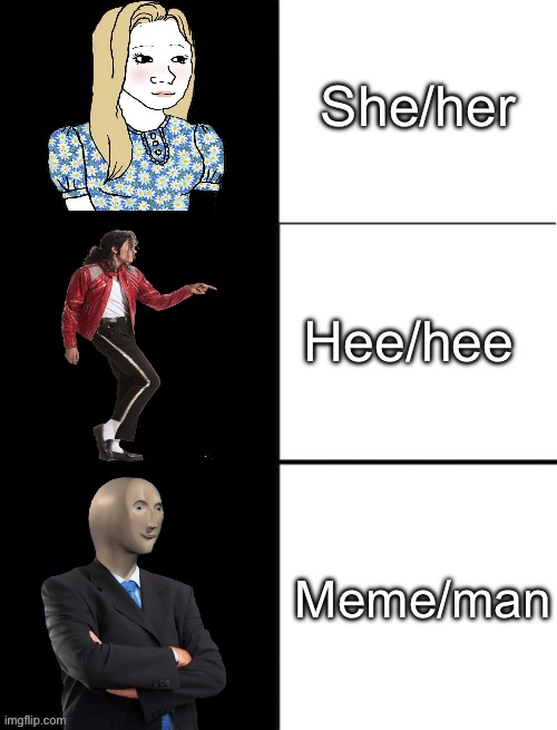 Pronouns | She/her; Hee/hee; Meme/man | image tagged in blank 3 panel,pronouns,tradition,michael jackson,meme man | made w/ Imgflip meme maker