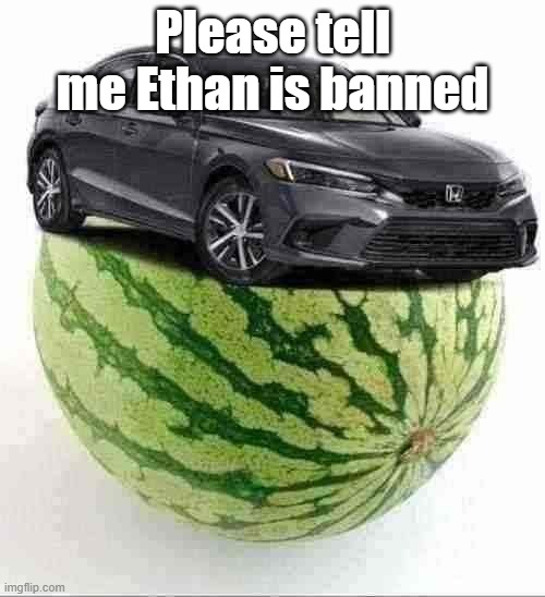 CivicMelon | Please tell me Ethan is banned | image tagged in civicmelon | made w/ Imgflip meme maker