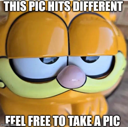 Garf | THIS PIC HITS DIFFERENT; FEEL FREE TO TAKE A PIC | image tagged in garf | made w/ Imgflip meme maker