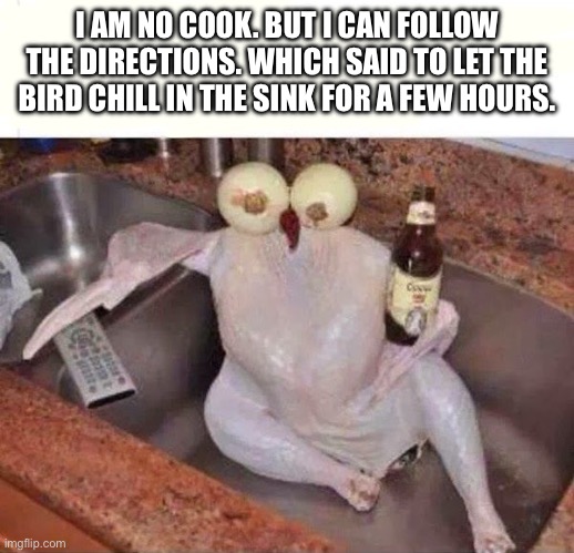 Let the bird chill | I AM NO COOK. BUT I CAN FOLLOW THE DIRECTIONS. WHICH SAID TO LET THE BIRD CHILL IN THE SINK FOR A FEW HOURS. | image tagged in memes,birds,lol so funny | made w/ Imgflip meme maker