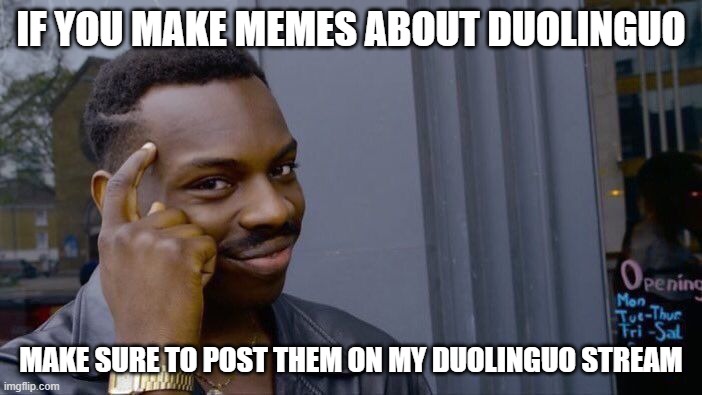 Roll Safe Think About It | IF YOU MAKE MEMES ABOUT DUOLINGUO; MAKE SURE TO POST THEM ON MY DUOLINGUO STREAM | image tagged in memes,roll safe think about it | made w/ Imgflip meme maker