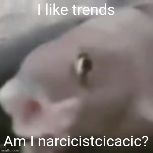 fih | I like trends; Am I narcicistcicacic? | image tagged in fih | made w/ Imgflip meme maker