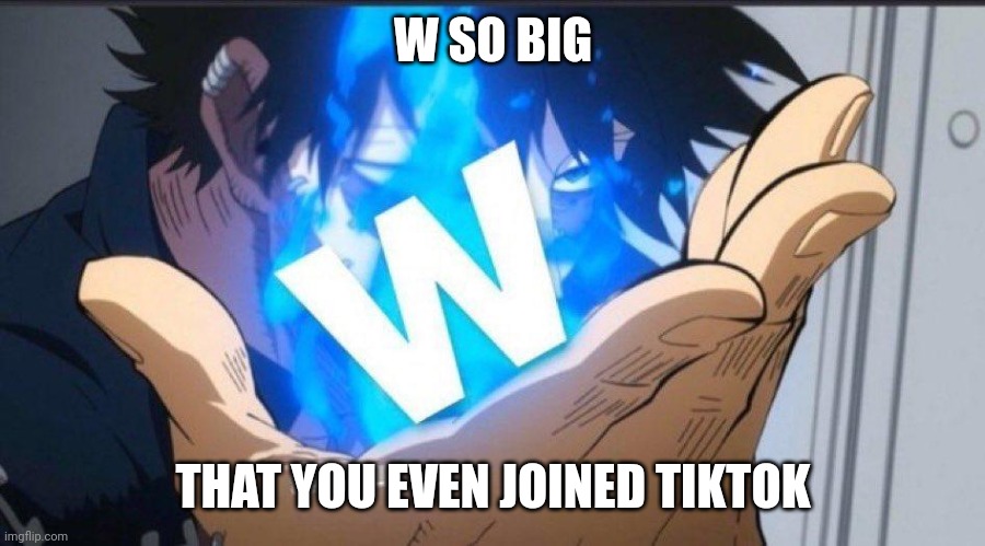 Take the W | W SO BIG THAT YOU EVEN JOINED TIKTOK | image tagged in take the w | made w/ Imgflip meme maker