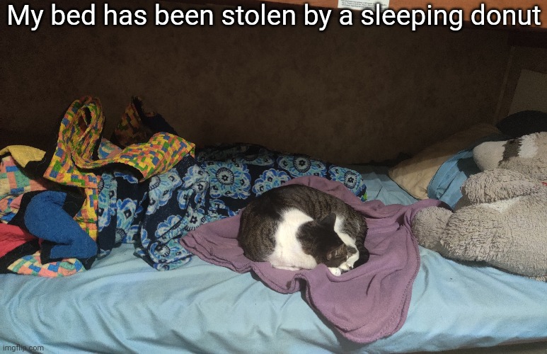 :( | My bed has been stolen by a sleeping donut | made w/ Imgflip meme maker