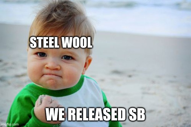 Success Kid Original Meme | STEEL WOOL; WE RELEASED SB | image tagged in memes,success kid original | made w/ Imgflip meme maker