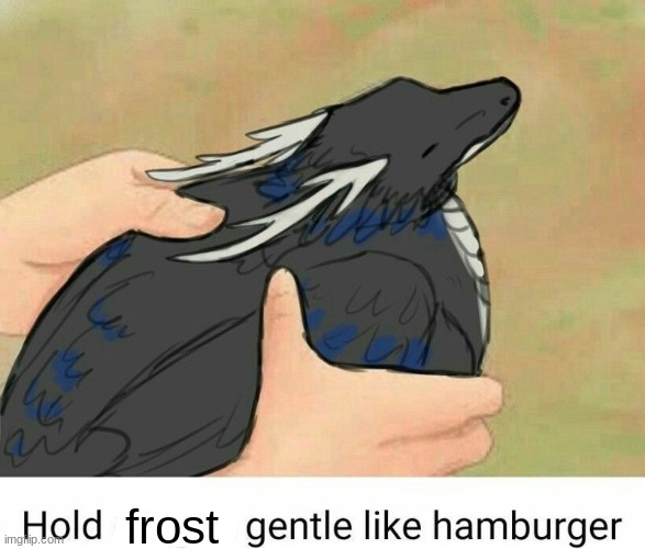 Hold dragon gentle like hamburger | frost | image tagged in hold dragon gentle like hamburger | made w/ Imgflip meme maker