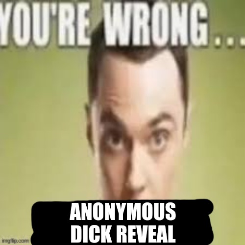 You're wrong sulphuric acid | ANONYMOUS DICK REVEAL | image tagged in you're wrong sulphuric acid | made w/ Imgflip meme maker