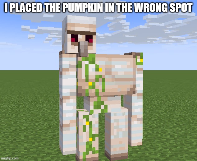 Cursed Iron Golem | I PLACED THE PUMPKIN IN THE WRONG SPOT | image tagged in iron golem,minecraft | made w/ Imgflip meme maker