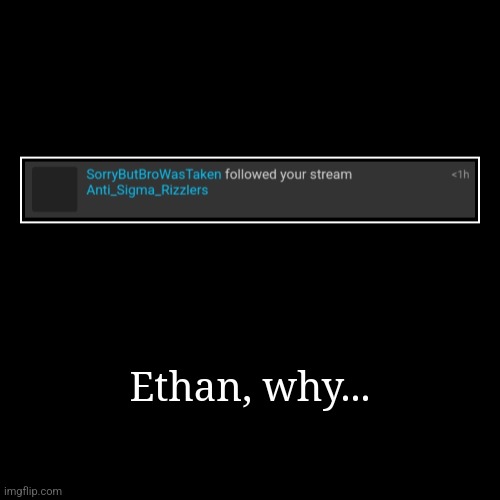 Ethan, why... | | image tagged in funny,demotivationals | made w/ Imgflip demotivational maker