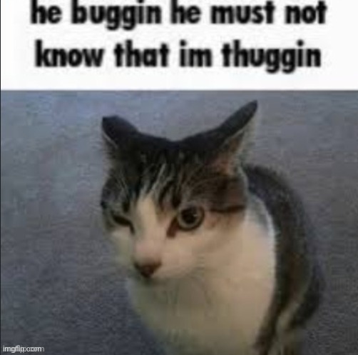 he buggin | image tagged in he buggin | made w/ Imgflip meme maker