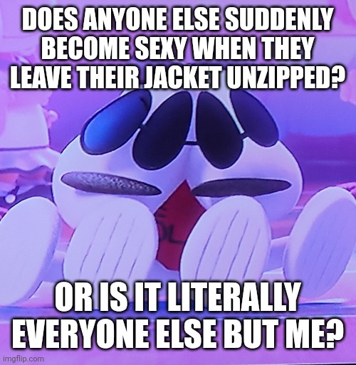 I will not provide an example | DOES ANYONE ELSE SUDDENLY BECOME SEXY WHEN THEY LEAVE THEIR JACKET UNZIPPED? OR IS IT LITERALLY EVERYONE ELSE BUT ME? | image tagged in torn,msmg,sexy | made w/ Imgflip meme maker