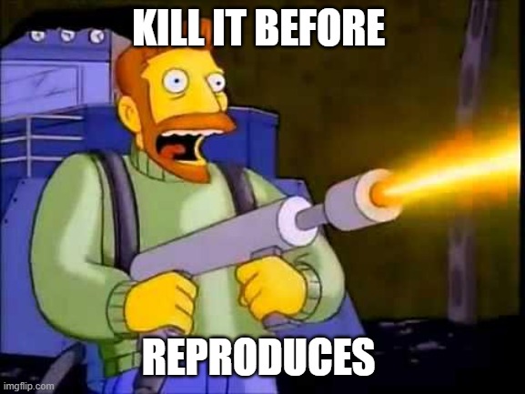 Kill it with fire | KILL IT BEFORE REPRODUCES | image tagged in kill it with fire | made w/ Imgflip meme maker