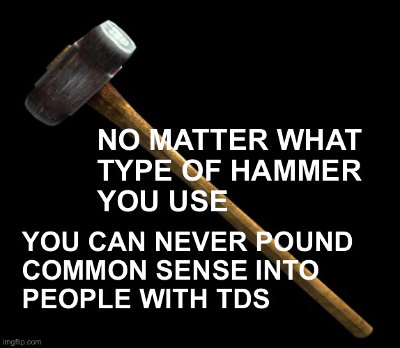 If I had a hammer… | NO MATTER WHAT 
TYPE OF HAMMER 
YOU USE; YOU CAN NEVER POUND 
COMMON SENSE INTO 
PEOPLE WITH TDS | image tagged in sledge hammer | made w/ Imgflip meme maker