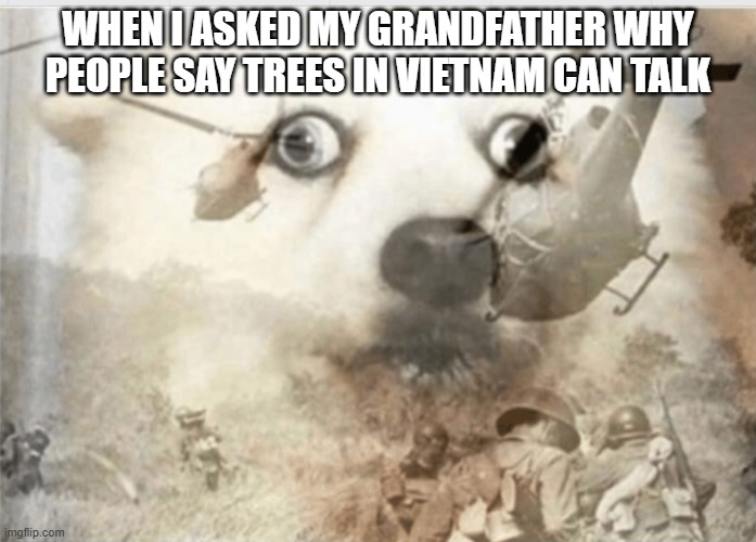 PTSD dog | WHEN I ASKED MY GRANDFATHER WHY PEOPLE SAY TREES IN VIETNAM CAN TALK | image tagged in ptsd dog | made w/ Imgflip meme maker