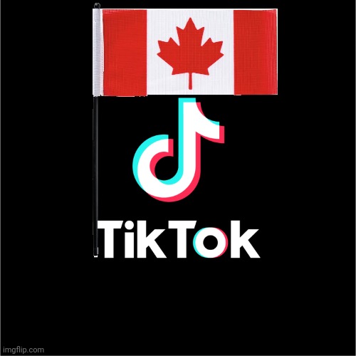 tiktok logo | image tagged in tiktok logo | made w/ Imgflip meme maker