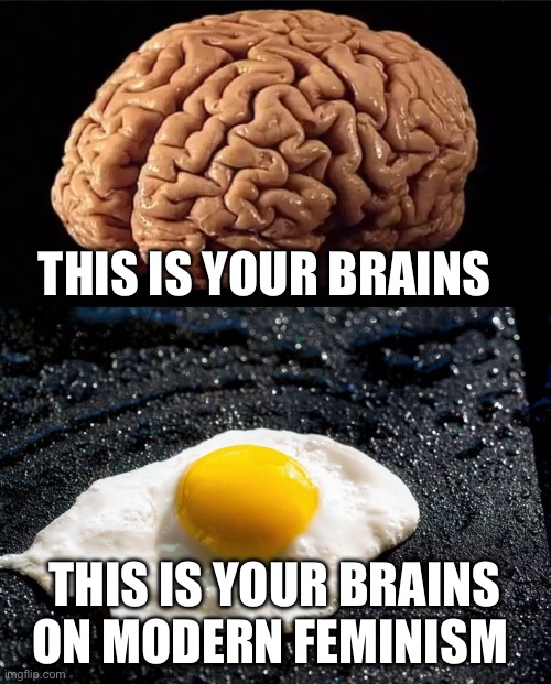 Feminists | THIS IS YOUR BRAINS; THIS IS YOUR BRAINS ON MODERN FEMINISM | image tagged in this is your brain,feminism | made w/ Imgflip meme maker